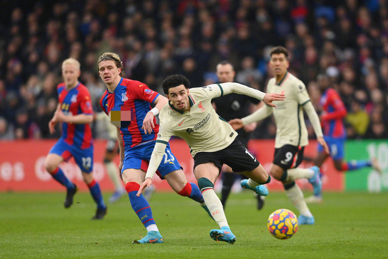 为年轻队员 为年轻队员