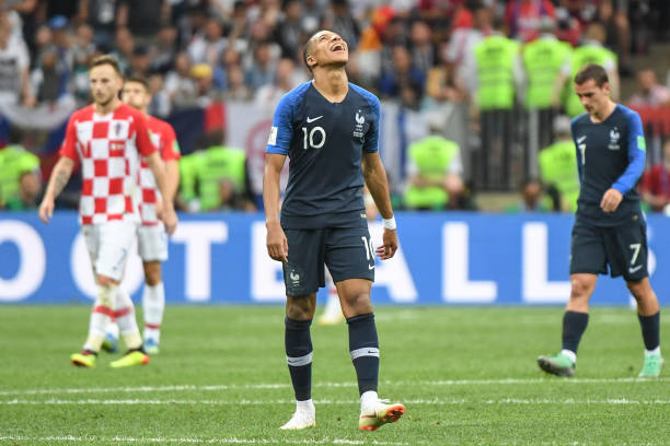 成功分化了 成功分化了